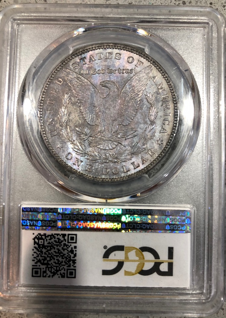 PCGS-Morgan-Dollar-Basic-Set